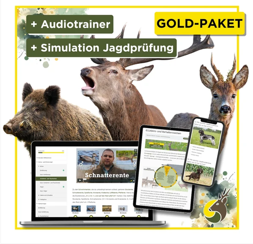 Jägerschmiede Prüfungsvorbereitungs-Paket – Audiotrainer & Simulation Jagdprüfung