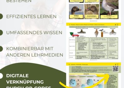 Jägerschmiede Lernkarten – 8 Themengebiete