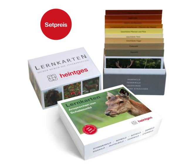 Lernkarten-Set (2 Sets)